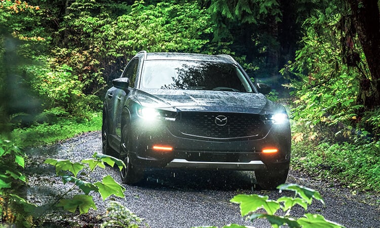 2024 cx50 c44 nature 1