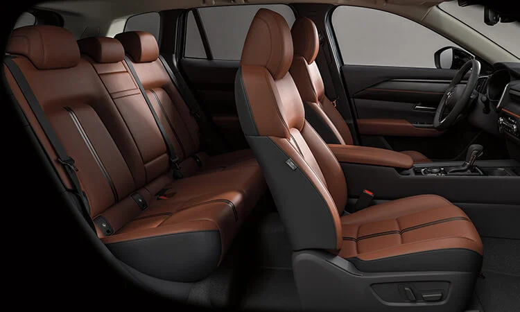 2024 cx50 c44 nature 2 interior