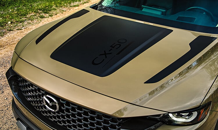 2024 cx50 c44 nature 3 colour